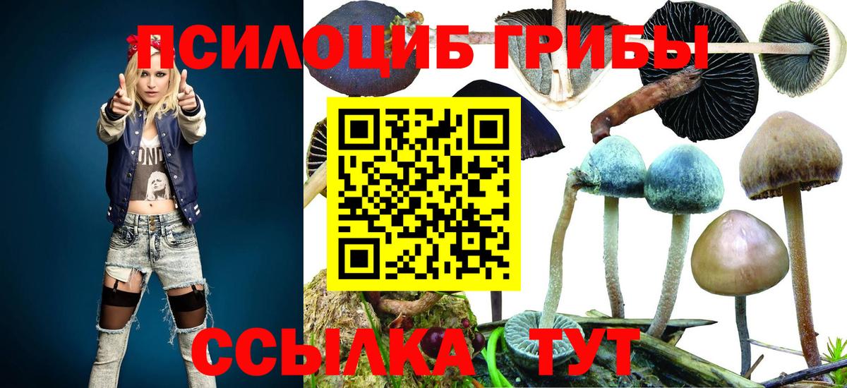 Йошкар-Ола  Галлюциногенные грибы MAGIC MUSHROOMS  Вход с VPN 