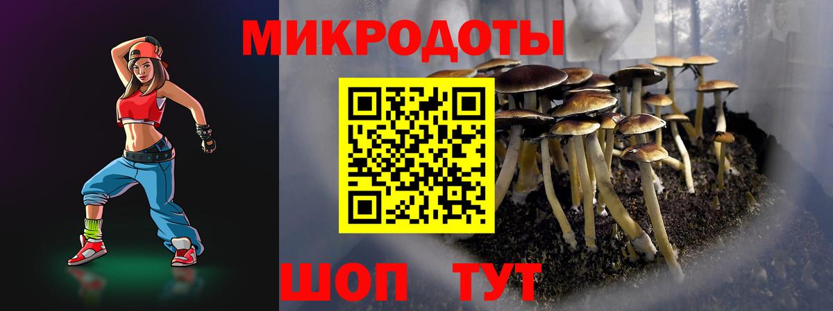 Псилоцибиновые грибы мицелий Йошкар-Ола